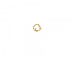 iPhone 6/6S Camera Lens and Ring Protector Gold